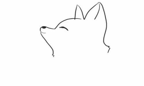可爱的小狐狸简笔画