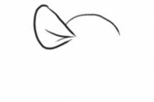 /jianbihua/dongwujianbi/24540.html