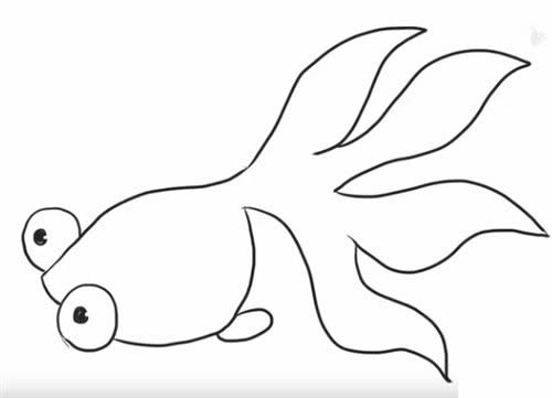 大尾巴金鱼简笔画