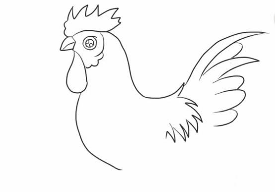 大公鸡简笔画的画法步骤教程 卡通大公鸡简笔画怎么画