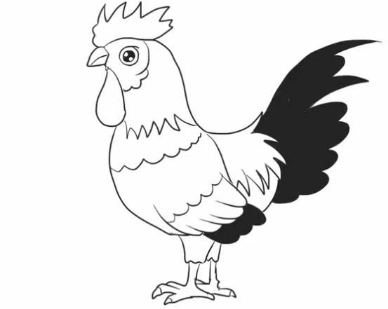 大公鸡简笔画的画法步骤教程 卡通大公鸡简笔画怎么画