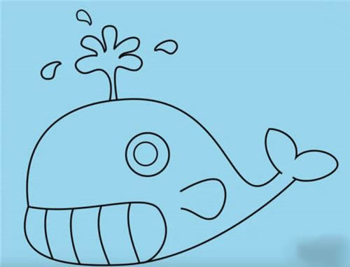 鲸鱼怎么画简笔画