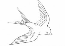 /jianbihua/dongwujianbi/24438.html