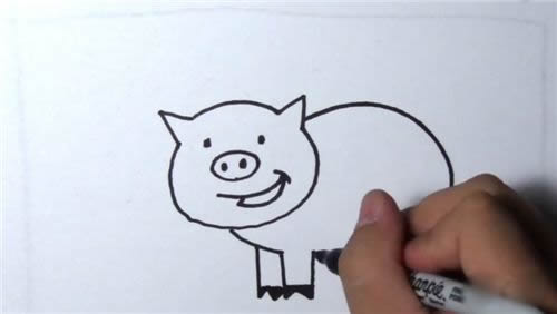 小猪简笔画的画法步骤图解
