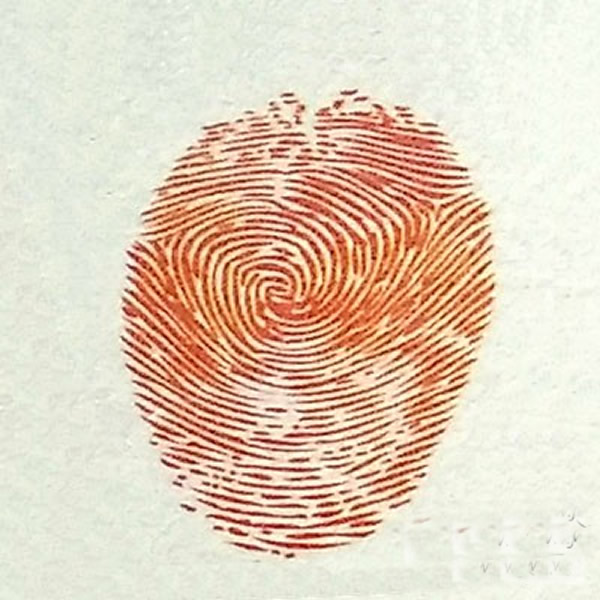 草莓指印画教程 儿童画草莓创意画