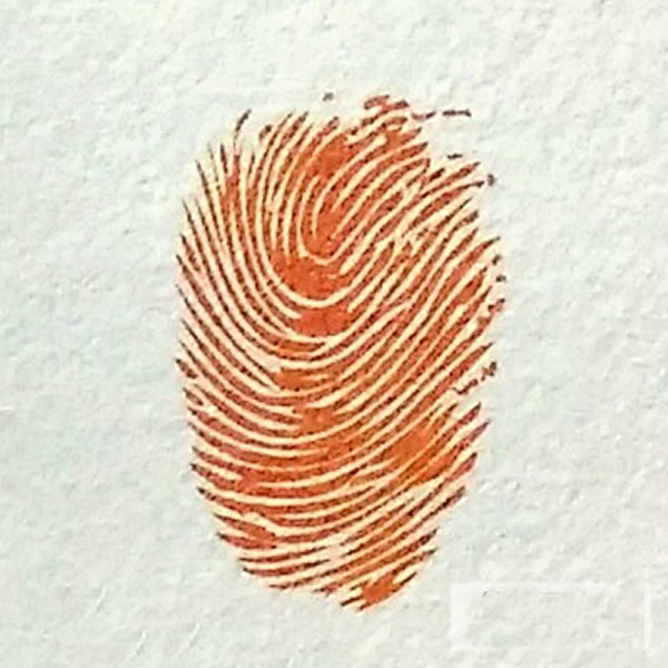 南瓜的画法步骤图解