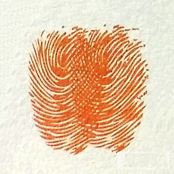 南瓜的画法步骤图解 儿童指印画优秀作品