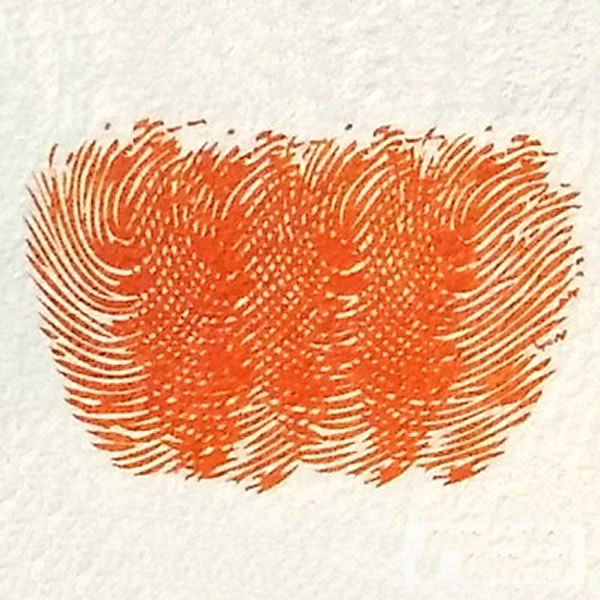 南瓜的画法步骤图解 儿童指印画优秀作品