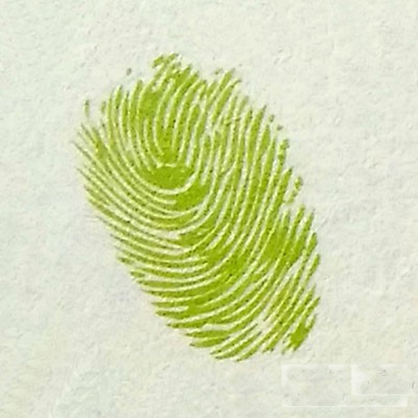 儿童画茄子指印画教程 幼儿园手指印画图片