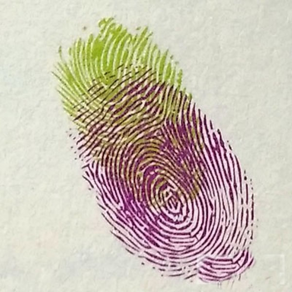 儿童画茄子指印画教程 幼儿园手指印画图片