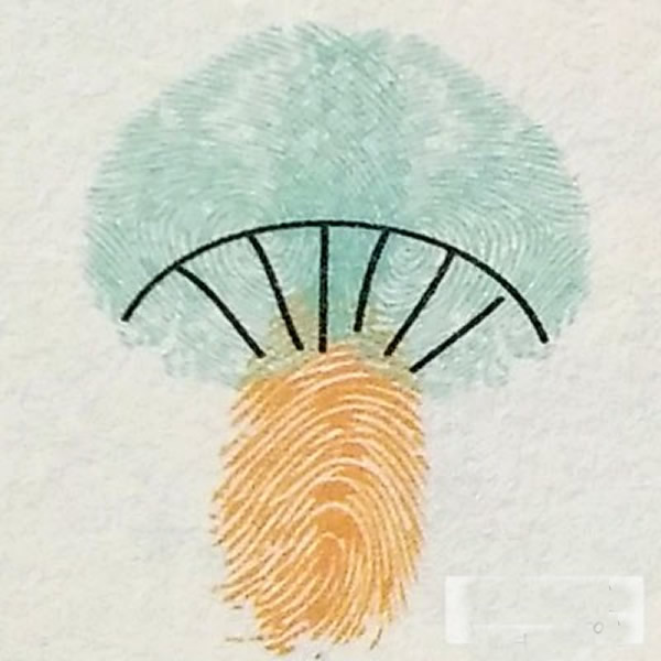 蘑菇指印画教程 幼儿手指印画作品图片