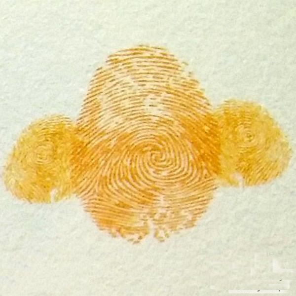 小班手指印画小鸡教案/手指画图片