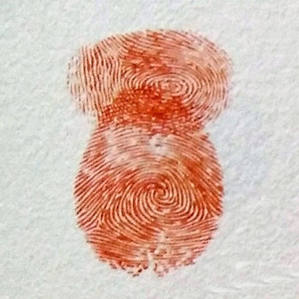 猫头鹰指印画教程 简单手指画关于动物的/手指画图片