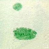 天鹅指印画教程