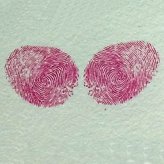 蝴蝶手指印画教案