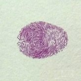 鸳鸯指印画教程