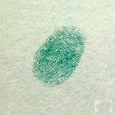 鸽子指印画教程