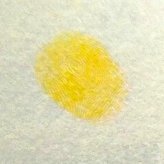 儿童画勤劳的小蜜蜂