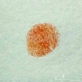 儿童画小蜜蜂教案