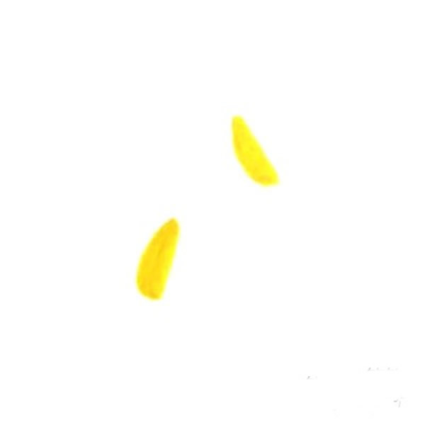 儿童画葫芦图片 葫芦的画法儿童画图片