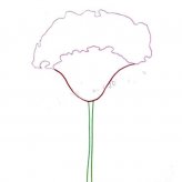 画鸡冠花的步骤教程