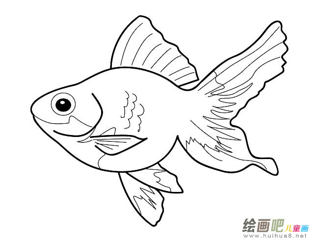 金鱼简笔画图片