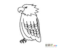 /jianbihua/dongwujianbi/30455.html