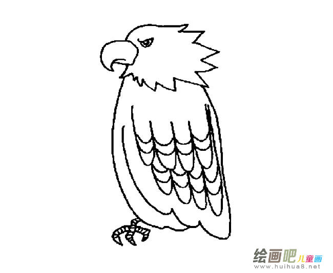 老鹰简笔画图片
