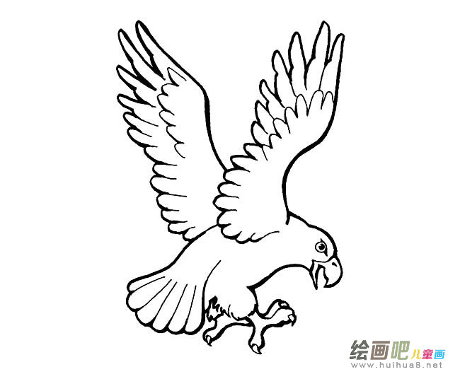 老鹰简笔画图片