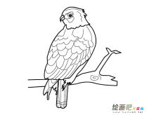 /jianbihua/dongwujianbi/30430.html