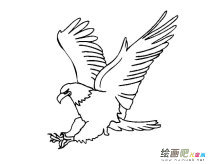 /jianbihua/dongwujianbi/30443.html