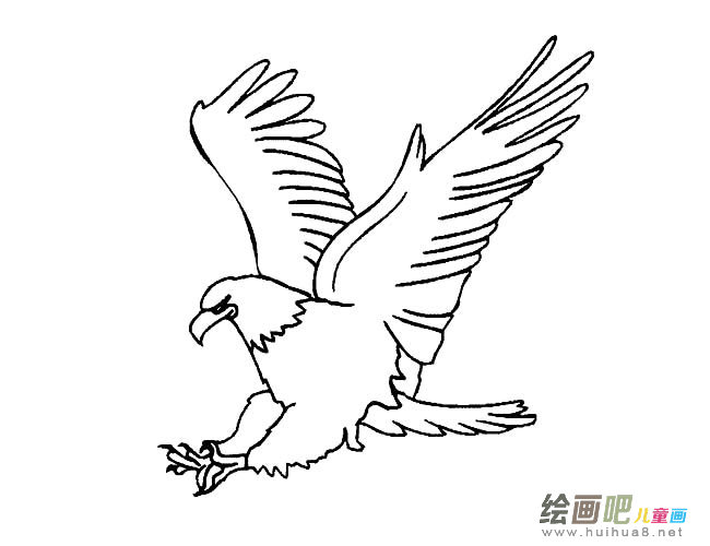 老鹰简笔画图片