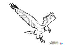 /jianbihua/dongwujianbi/30434.html