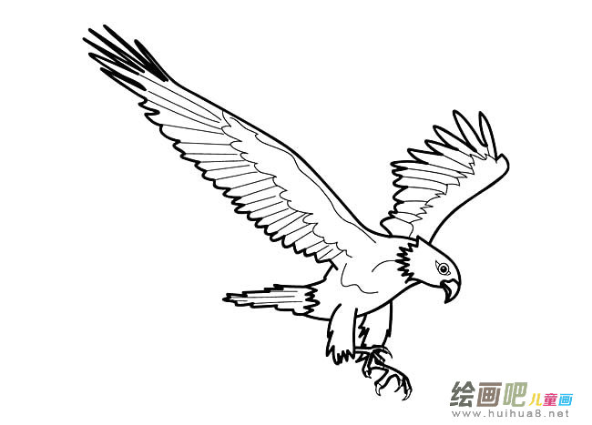 老鹰简笔画图片