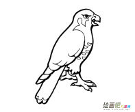 /jianbihua/dongwujianbi/30512.html