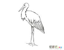 /jianbihua/dongwujianbi/30503.html