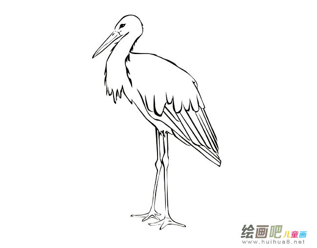 白鹭简笔画图片