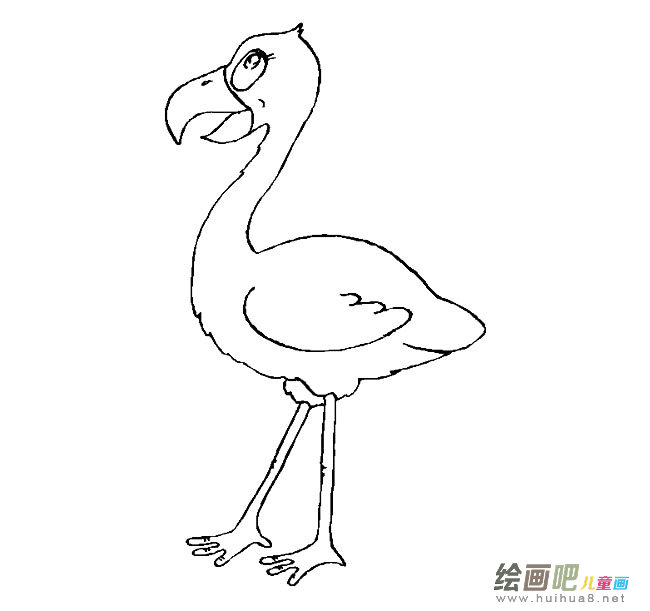 火烈鸟简笔画图片