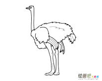 /jianbihua/dongwujianbi/30493.html