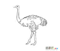 /jianbihua/dongwujianbi/30424.html