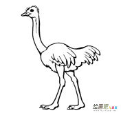 /jianbihua/dongwujianbi/30415.html