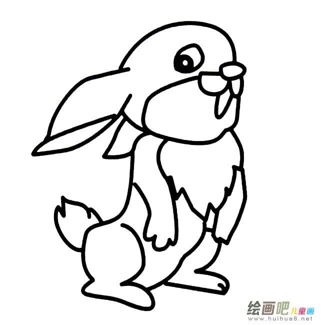 兔子简笔画图片