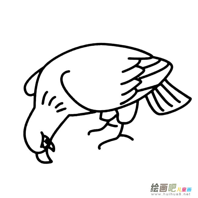 老鹰动物简笔画步骤图片大全