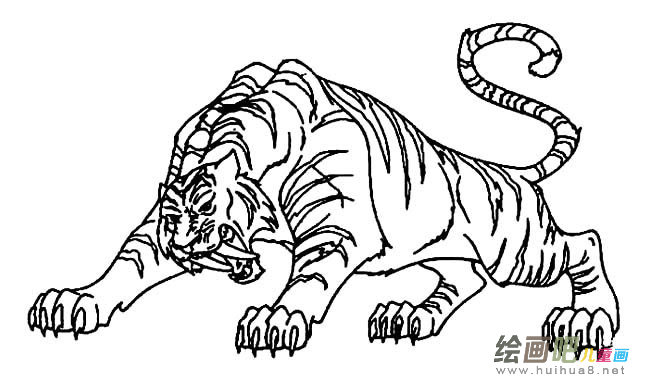 凶猛老虎动物简笔画步骤图片大全
