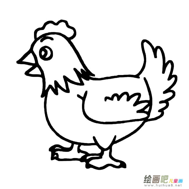 小公鸡动物简笔画步骤图片大全