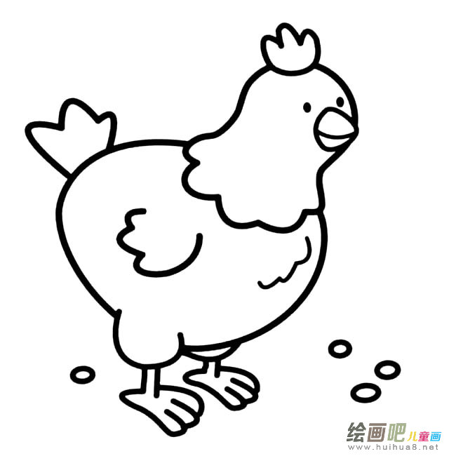 老母鸡动物简笔画步骤图片大全
