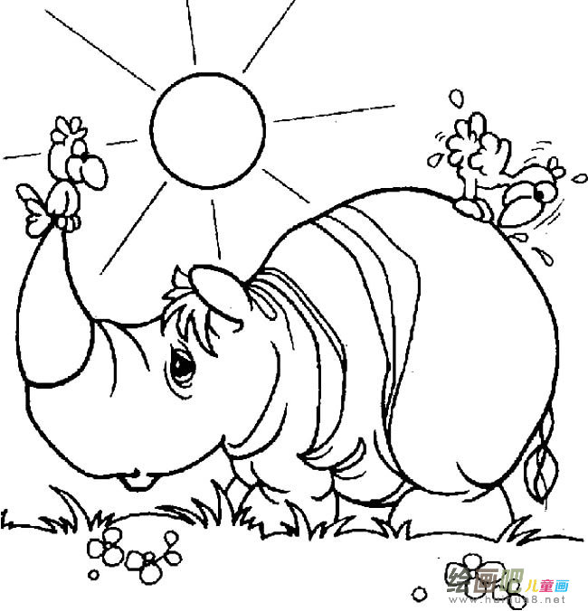 晒太阳的犀牛动物简笔画步骤图片大全