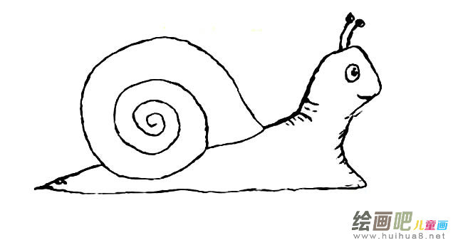 蜗牛动物简笔画步骤图片大全