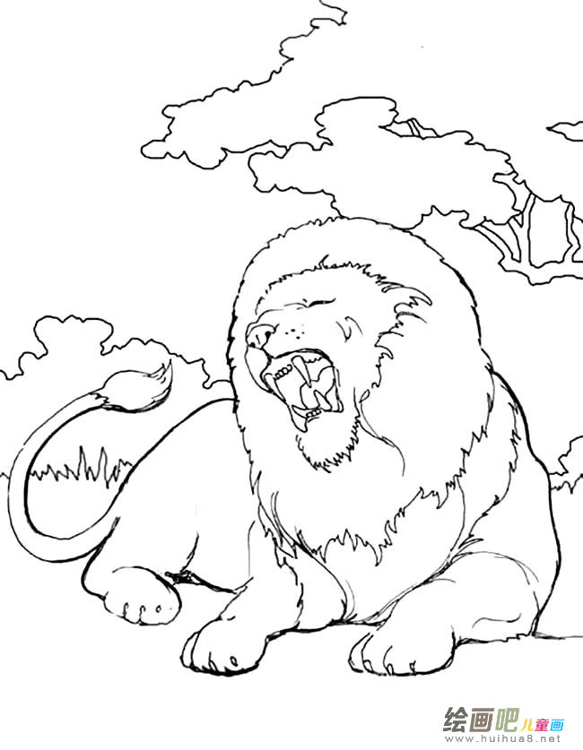 凶猛狮子简笔画图片大全