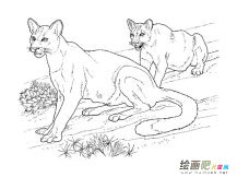 /jianbihua/dongwujianbi/30977.html